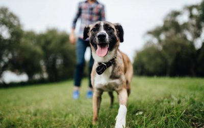 The One About Pretending It Never Happened