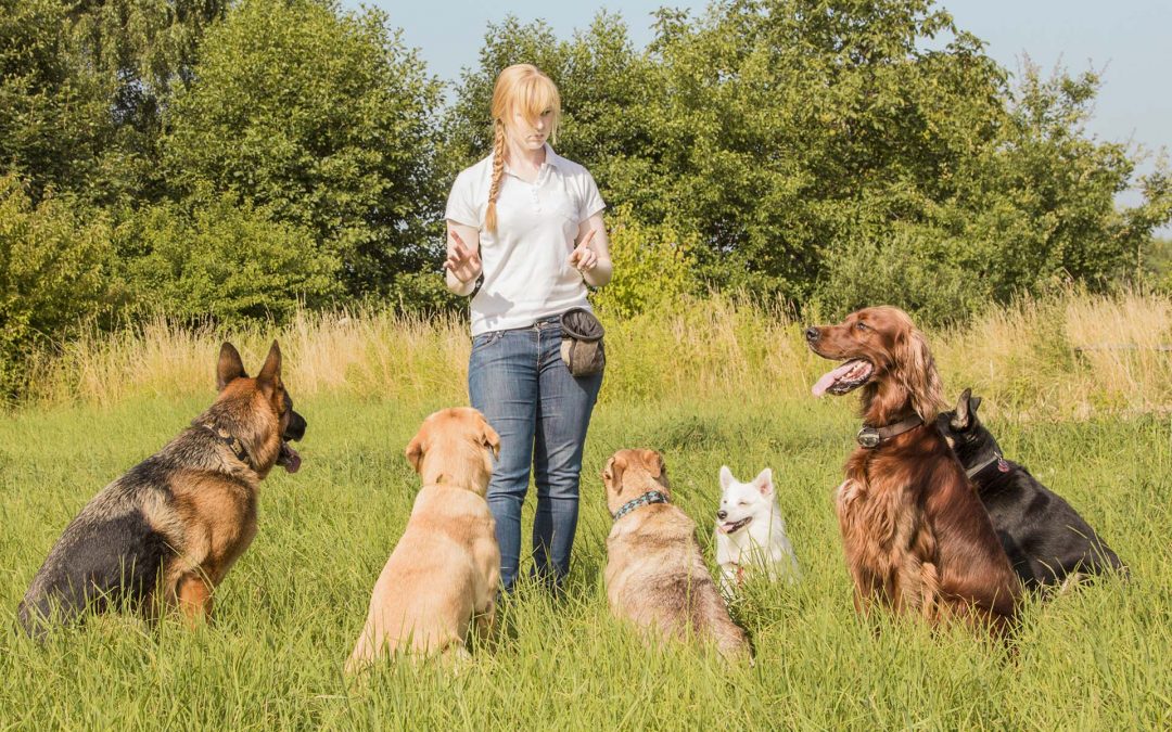 The One About COVID-19