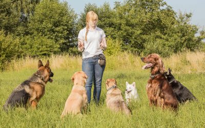 The One About COVID-19